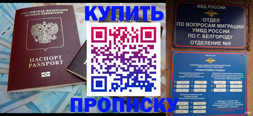временная регистрация для школы в Благовещенске